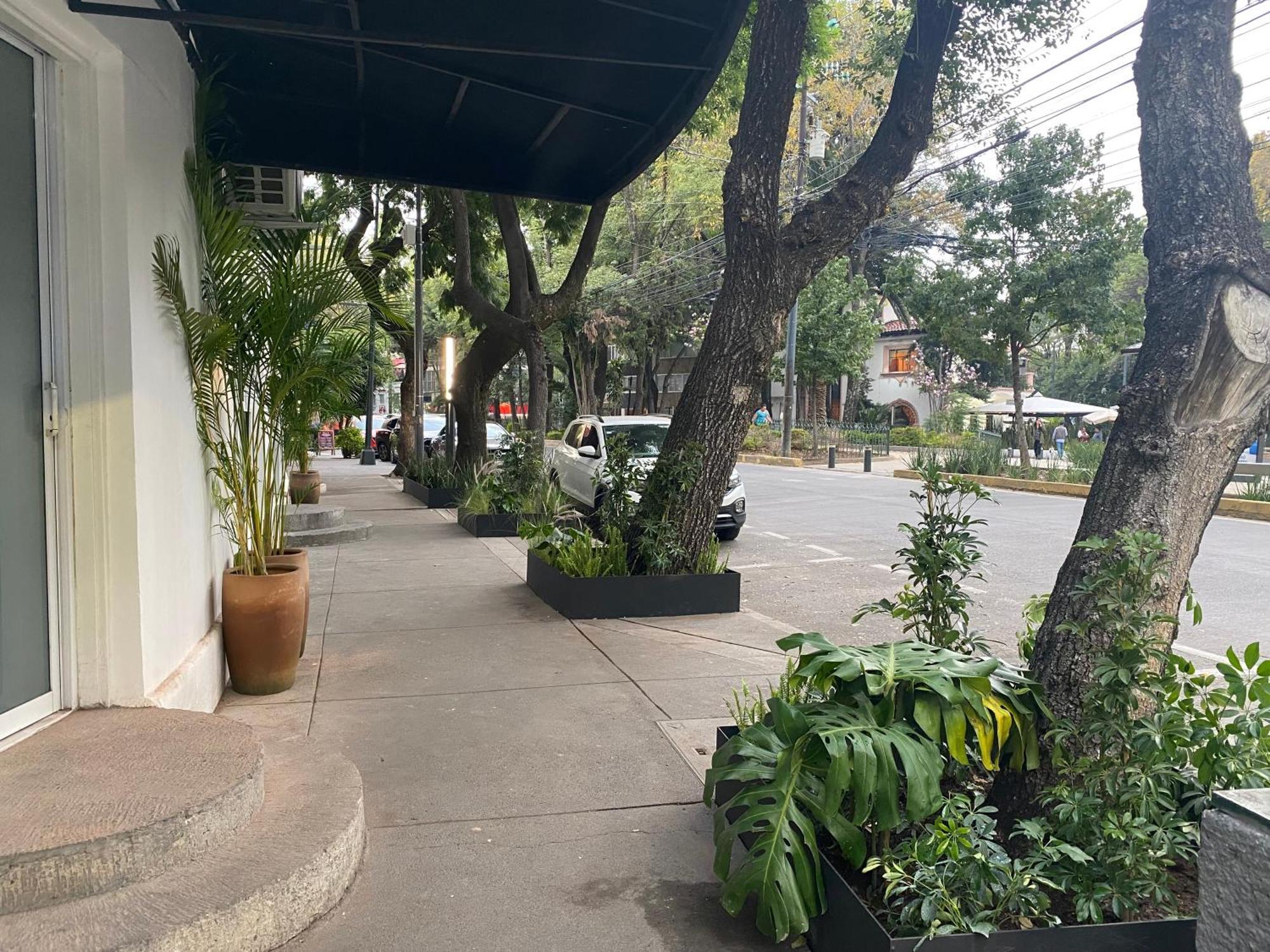 Casa Corp Boutique Suites In Condesa Mexico City Luaran gambar